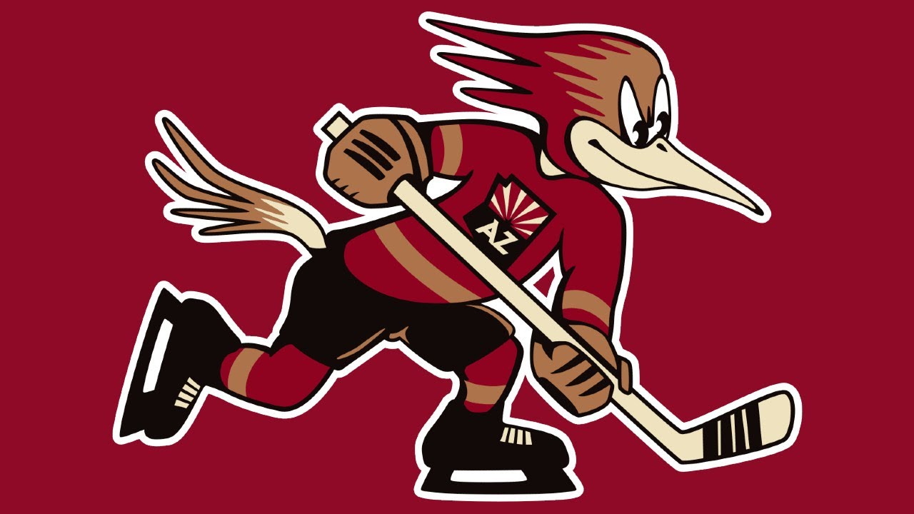 AZ Sports Guy's Tucson Roadrunners Videos (2020-2024)