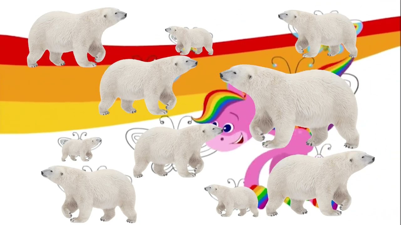 BabyFirstTV Rainbow Horse Puffin/Snowy owl/Polar bear