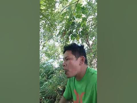 holi ng