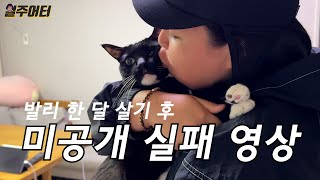 어이없는 실패 영상 최초 공개합니다.