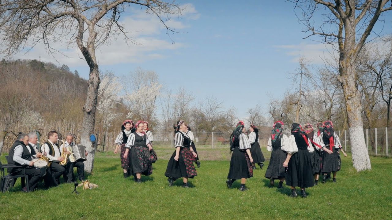 Exclusiv în România: Dansul Fecioreasca Fetelor din Crihalma, Braşov (@TVR1)