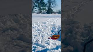Clearing Up The Driveway