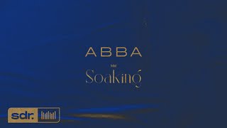 SDR Soaking - Abba (Instrumental)