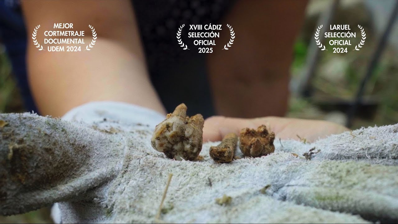 CORTOMETRAJE DOCUMENTAL -  Di su nombre (Desenterrando la verdad) - Madres buscadoras