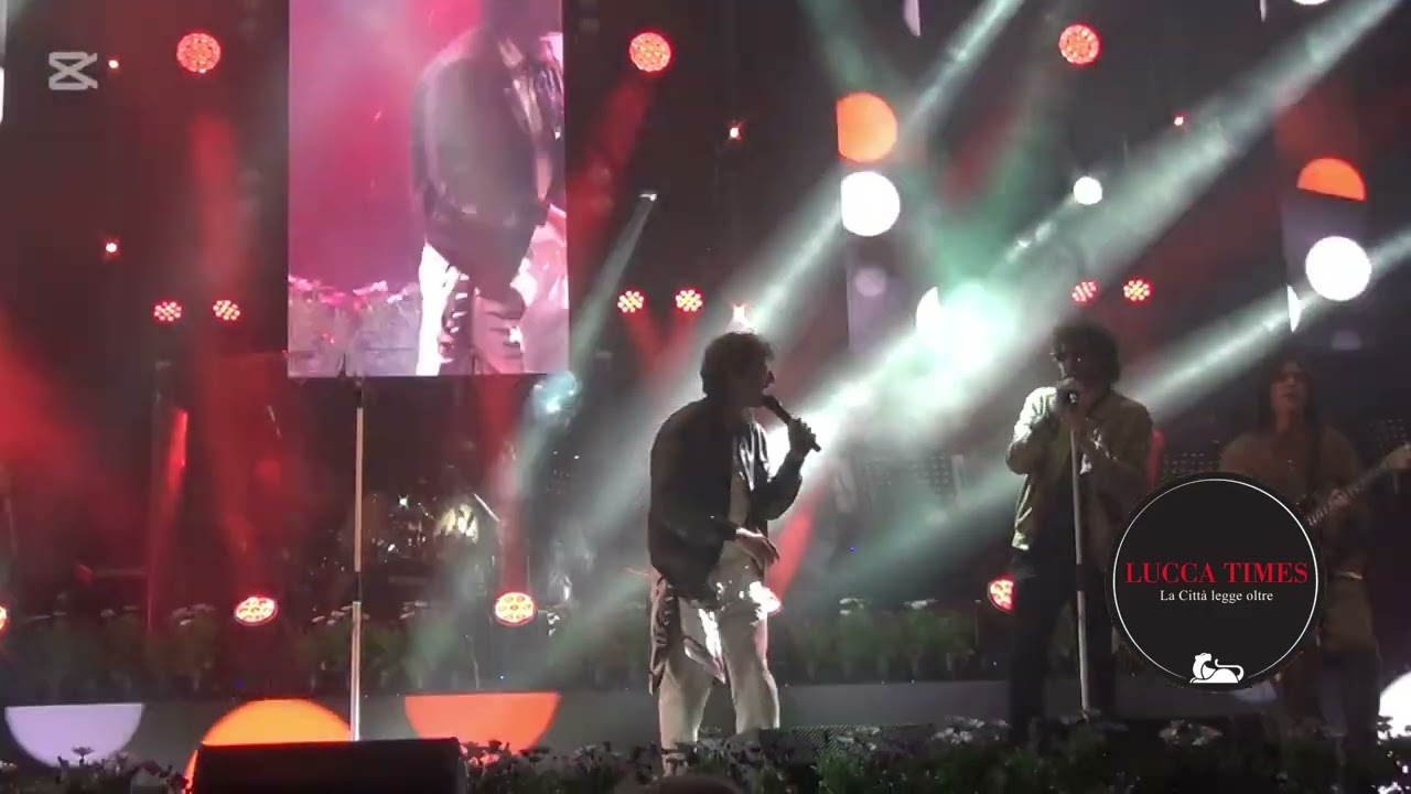 Miccio Canterino 2025 - Quercia