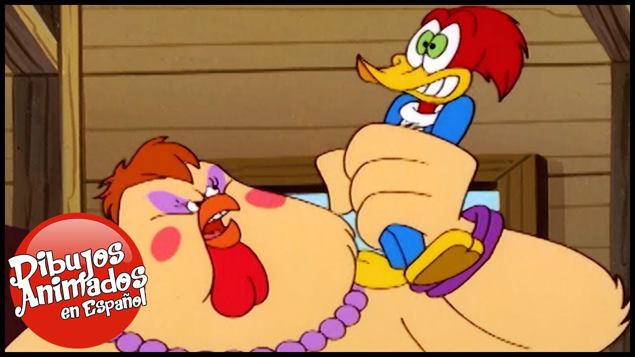 El Pajaro Loco en Español | Attila la Gallina | Dibujos Animados | Caricaturas para Niños