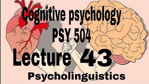 Psycholinguistics // PSY 504 lecture 43 // Psychology hub
