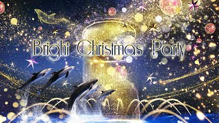 Dolphin Night Show At Maxell Aqua Park Shinagawa. Christmas ver.  【4K】