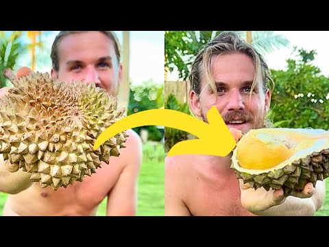 Elite Male Enhancement Formula [jp8RUsmn5S]