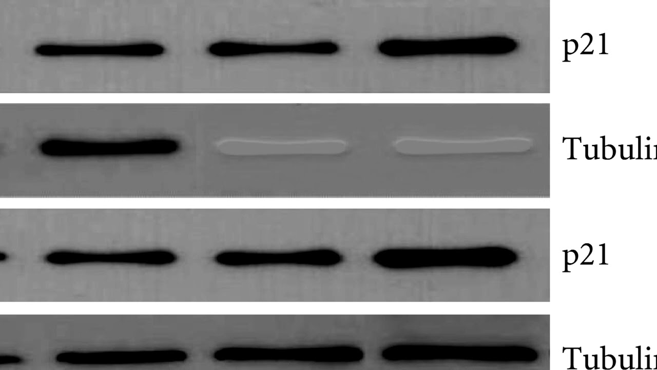 4DF4CFF95DFED4ADECD42B7C370BF8#6