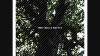 Trentemoller - Miss You (Orchestral Version) screenshot 5