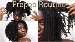 BEST PREPOO ROUTINE FOR NATURAL HAIR| Type 4 Hair| Flaxseeds| WASHDAY