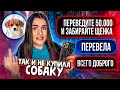 НЕУДАЧНАЯ ПОКУПКА нового ЩЕНКА😱 МЕНЯ ОБМАНУЛИ В ИНТЕРНЕТЕ! ПОТРАТИЛА 50.000₽ | моя история