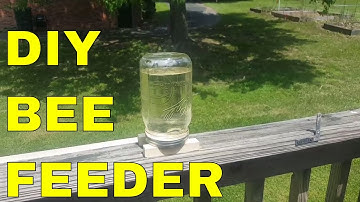 DIY Simple Bee Feeder