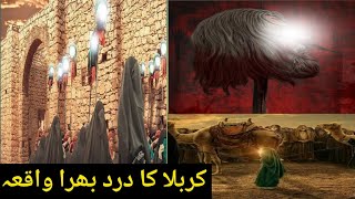 Karbala ka waqia in urdu/History of karbala/Bettel of karbala/safre sham/karbala.