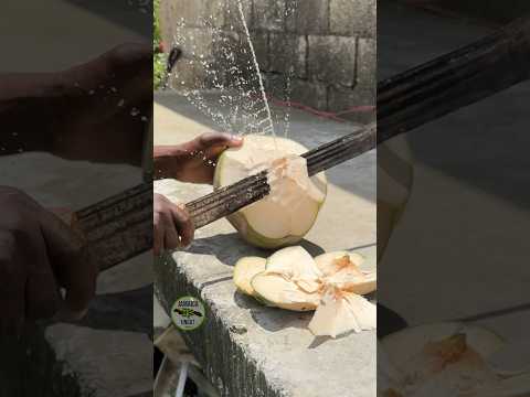 Drunken Coconut
