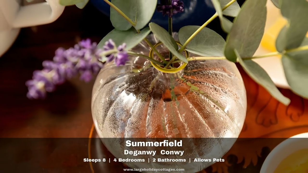 Summerfield video tour