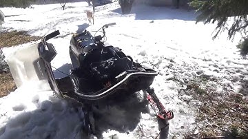 SNOWMOBILE vs  TREE