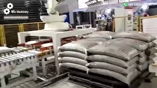 Robotic Palletising Machine | High-Speed Automatic Palletiser for Packaging