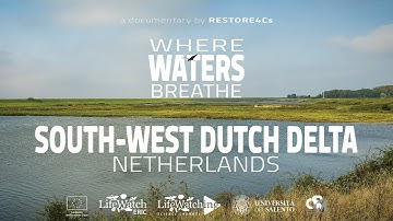 Where Waters Breathe | South West Dutch Delta - Netherlands | Documentary