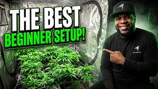 The BEST Grow Tent BEGINNER Setup! | Infinity Grow: S11 EP1