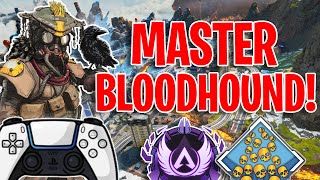 Should You Play Bloodhound In Apex Legends Season 20? Bloodhound Guide + Tips/Tricks (Controller)