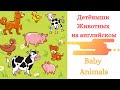 Детеныши животных на английском/  Baby animals