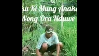 Story WA Aku Wong Ndeso