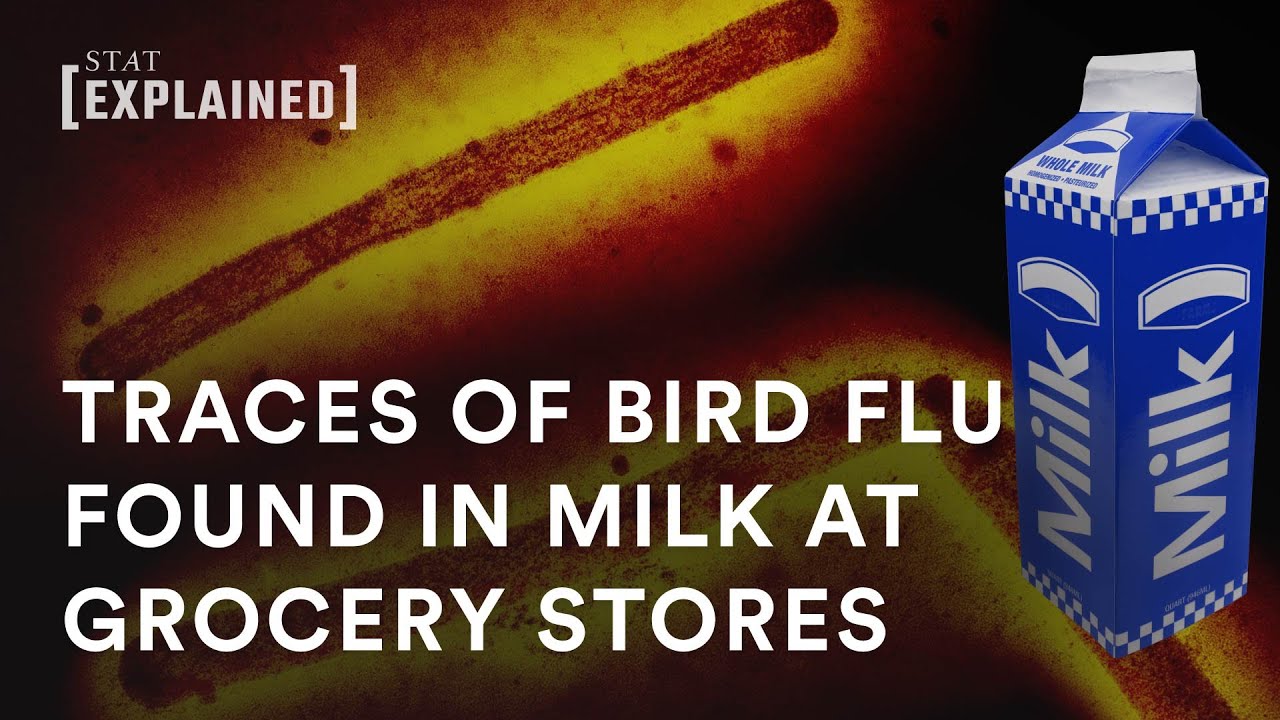 Evidence of H5N1 bird flu found in grocery milk - YouTube
