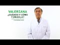 Valeriana, cuándo y cómo debemos tomarla - #TuFarmacéuticoInforma