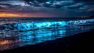 Full 432Hz Deep Focus 🌊 Distant Ocean Waves & Warm Pads for Study, Meditation & Calm Update