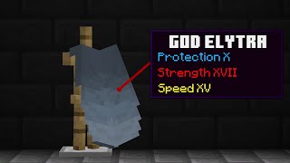 This is the Server's only Elytra