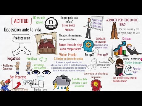 Como tener una