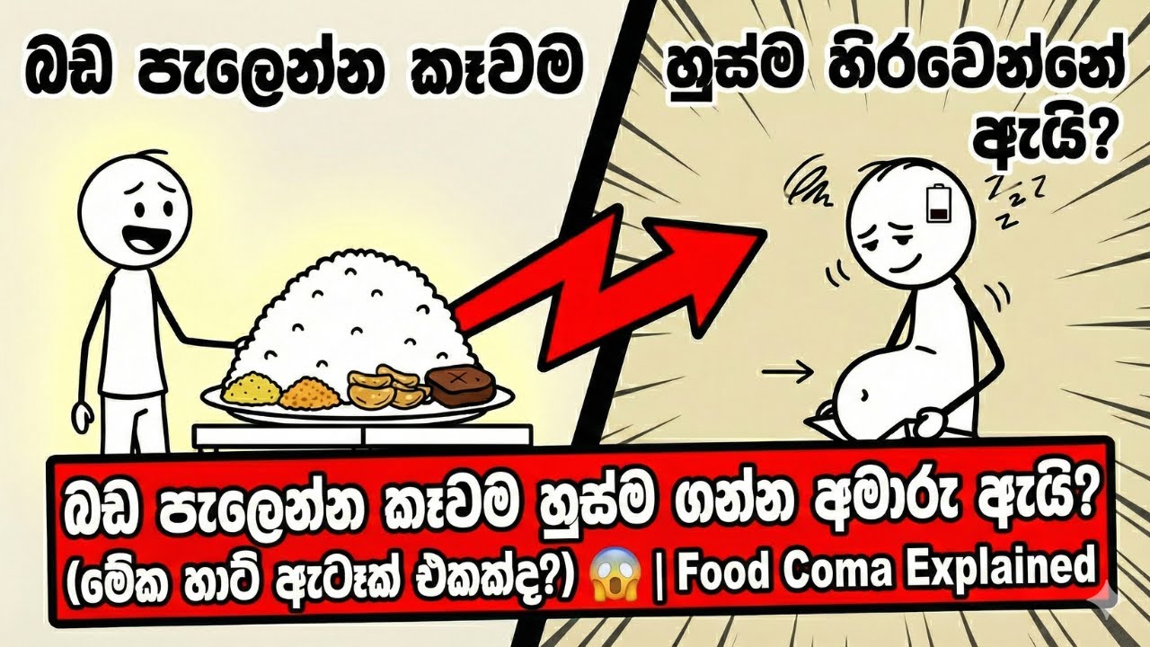 බඩ පැලෙන්න කෑවම හුස්ම ගන්න අමාරු ඇයි? (මේක හාට් ඇටෑක් එකක්ද?) 😱 | Food Coma Explained