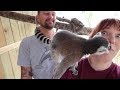 We Went To The Exotic Animal Sanctuary & Met Some All New Animal Friends!