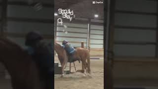 Another old video! This when I got to do almost a whole lesson bareback!