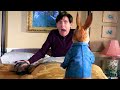 Peter Rabbit FUNNY Suprise Attacks Compilation 4K HD ⚡