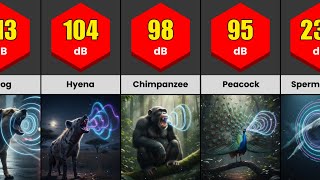 Loudest Animals in the World (Ranked by Decibels!) 🔊🐋