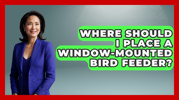 Where Should I Place A Window-mounted Bird Feeder? - Bird Watching Diaries