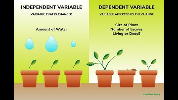 GEDမှာ Independent Variable Vs Dependent Variable
