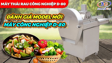 Máy Thái Rau Củ Băng Tải Có Biến Tần D80 Năng Suất 2 Tấn/H| Điện Máy 3G