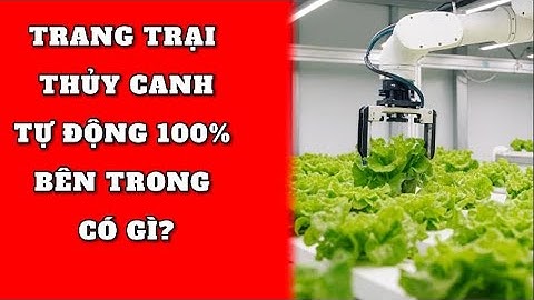 Rau Tăng Giá Chóng Mặt, Trồng Rau Tự Động 100%, Nông Nghiệp Tương Lai!