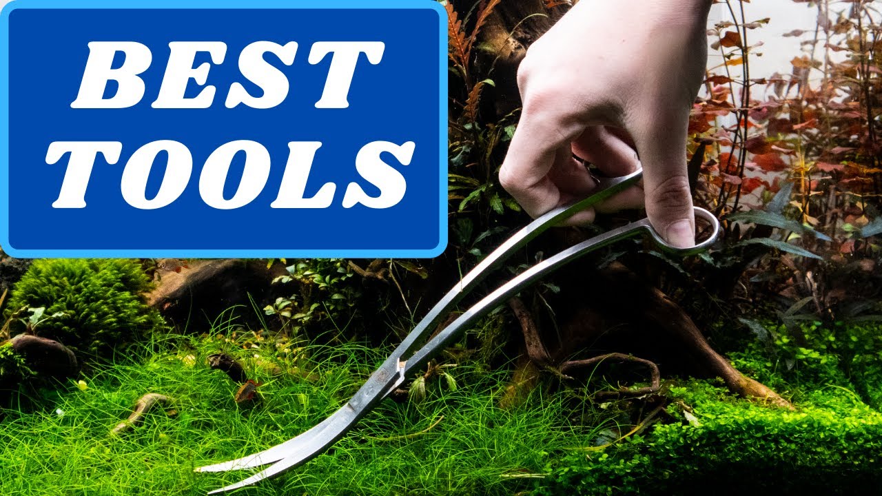 THE BEST aquascaping tools and accessories (with explanation) YouTube