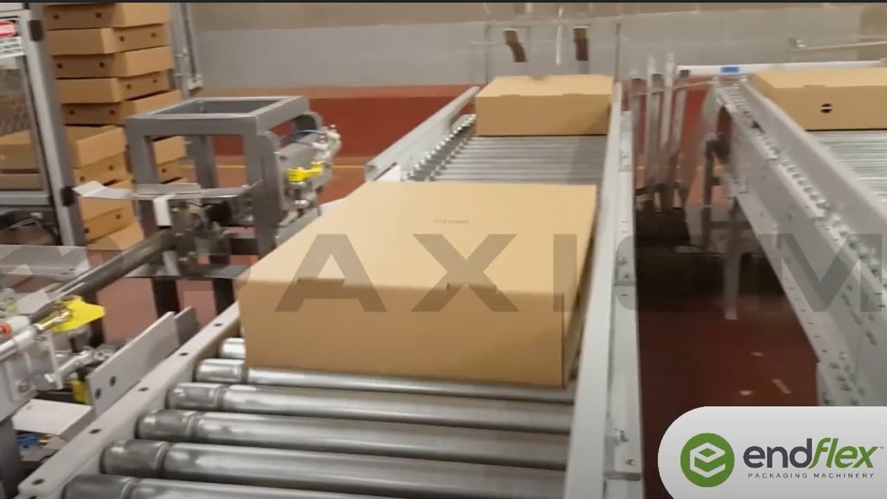 PopLok corrugated tray forming machine for poultry trays