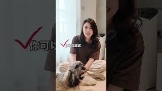 你家可卡布犬也會守你上廁所嗎？🐶🚪
