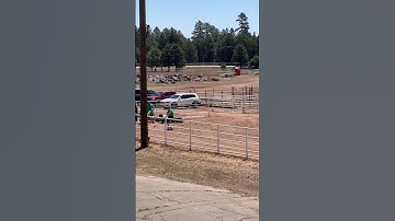 HAMMER Throw!