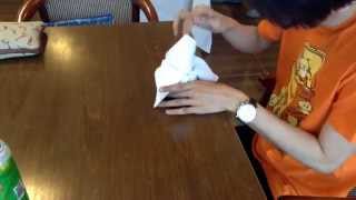 Fold napkins in 5 ways. Thanks Leon! :)))) by Ryana Pitkin 49 views 9 years ago 2 minutes, 28 seconds