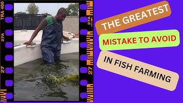 The Greatest Mistake To avoid in Your Fish Farm