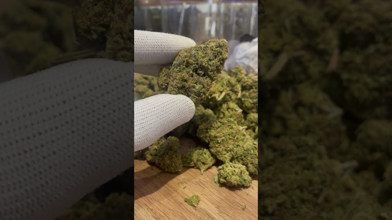 le club du cbd à testé l'amnésia cbd 20% site web 24h/24h ocbondelire.fr