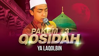 Pakem #3 Qosidah Ya Laqolbin - Majlis Riyadlul Jannah